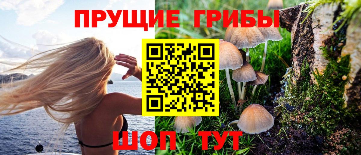 Миллерово  Псилоцибиновые грибы Psilocybe  Вход с VPN 