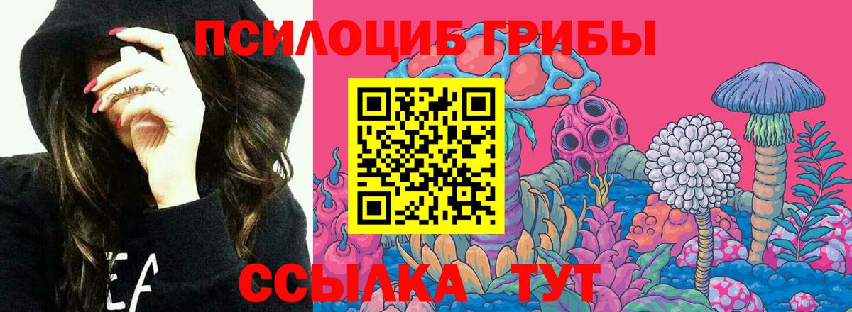 LSD-25  Каннабис  Мефедрон кристаллы  Вход с VPN  Гашиш  Миллерово  A PVP СОЛЬ кристаллы  Кокаин 