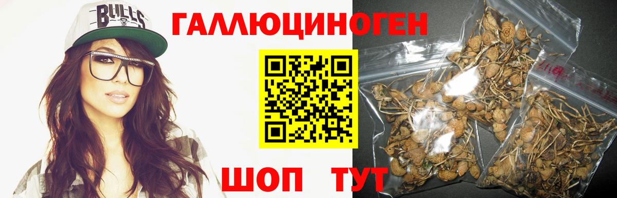 Галлюциногенные грибы мухоморы Миллерово